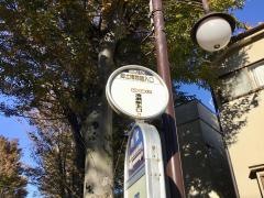 「郷土博物館入口(清瀬市)」バス停留所