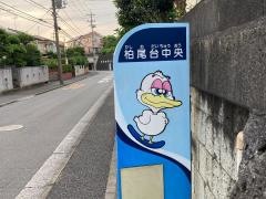 「柏尾台中央」バス停留所