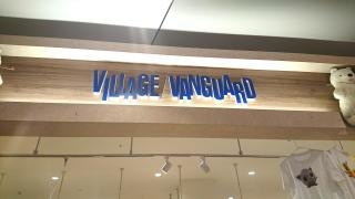 ヴィレッジヴァンガード　イオンモール徳島店