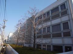 私立攻玉社中学校