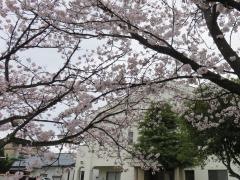 緑幼稚園