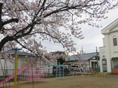緑幼稚園