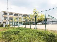 青柳小学校