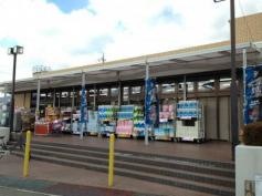 ドラッグストアサーバ宝塚南店