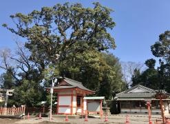 揖宿神社