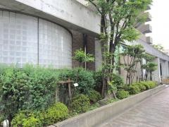 稲本整形外科クリニック