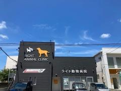 ライト動物病院