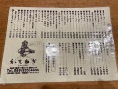かもねぎうどん