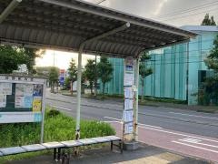 「金井」バス停留所