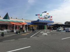とれとれ市場