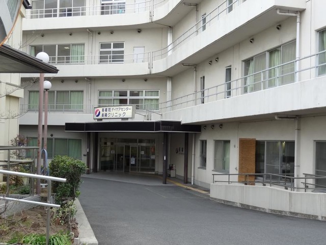 くすのき