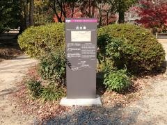 近水園