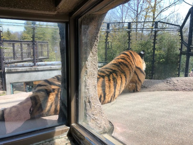 施設写真33
