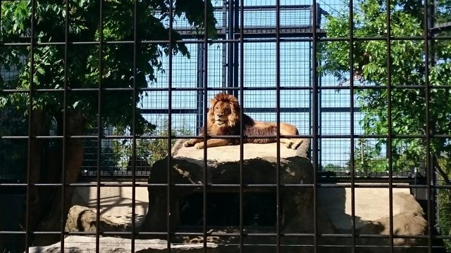 施設写真76
