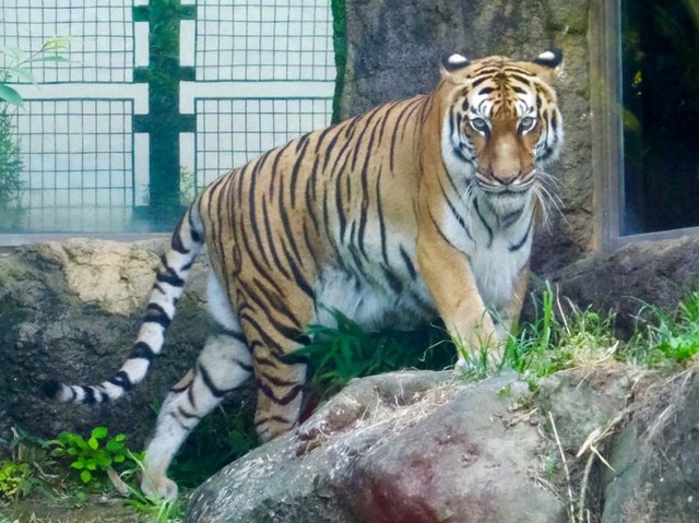 施設写真60