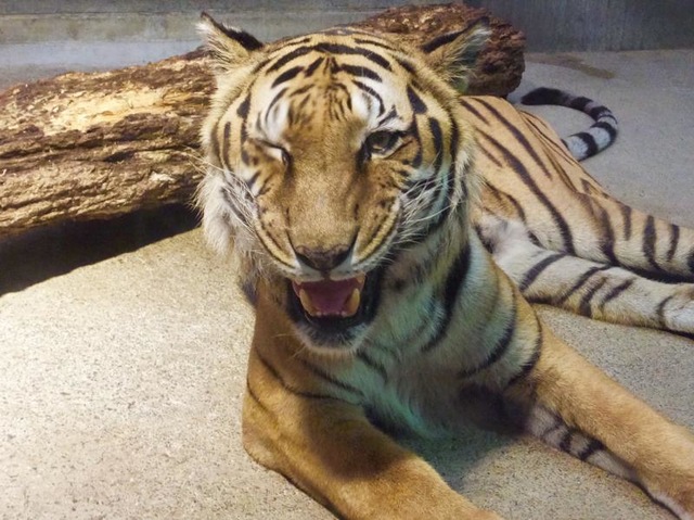 施設写真59