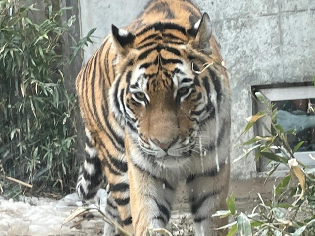 施設写真28