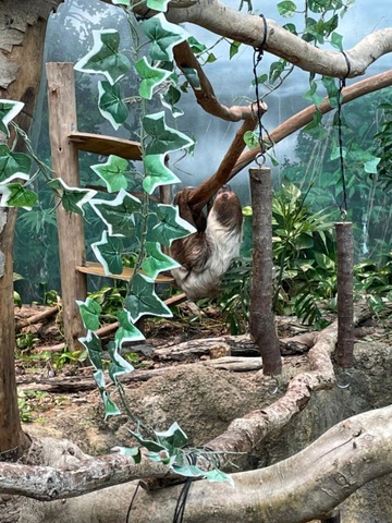 施設写真24