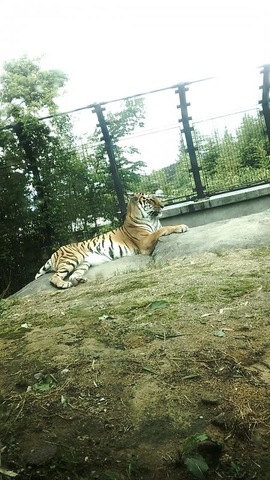 施設写真78