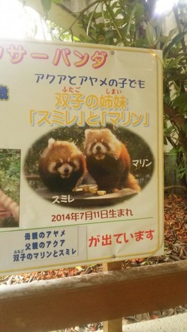 施設写真77