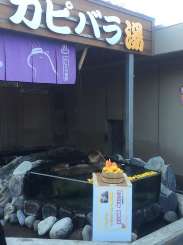 施設写真86