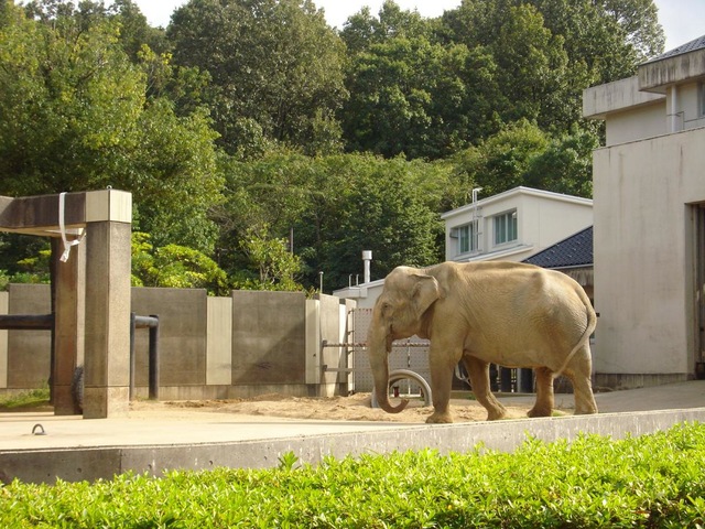 施設写真46