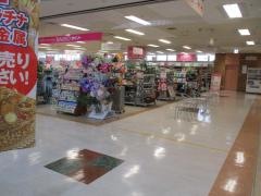 ザ・ダイソー　平和堂祖父江店