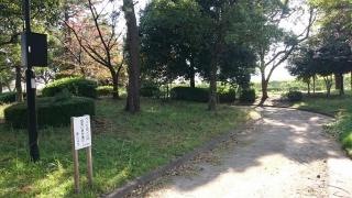 大森中央公園