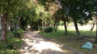 大森中央公園