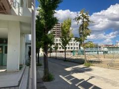 大阪府立東住吉高等学校