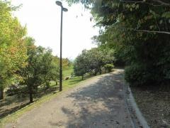 コスモ中央公園
