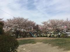 大元中央公園