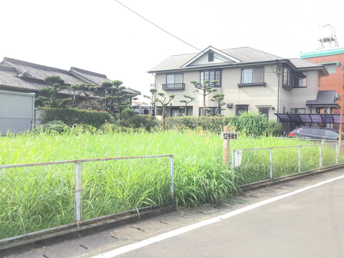 緑地帯