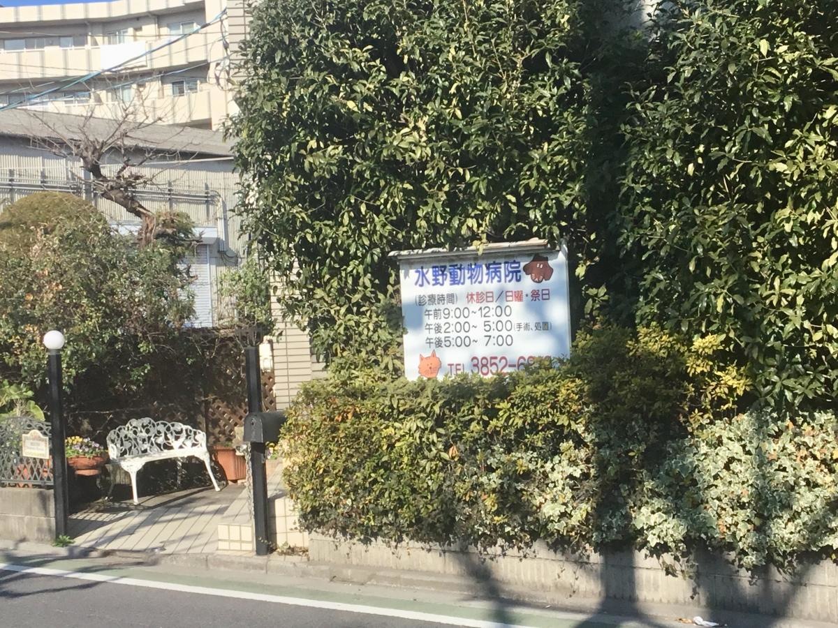 水野動物病院です。