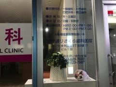 県庁通りさくら歯科