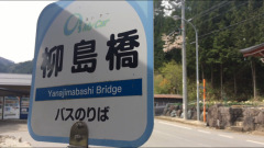「柳島橋」バス停留所