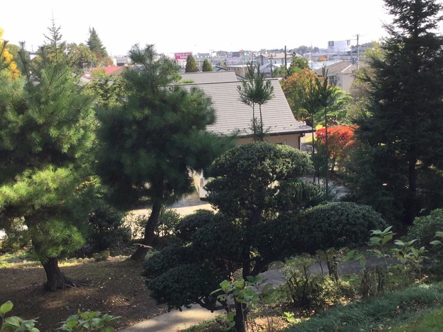 縄文の風