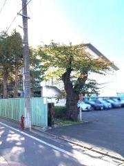 岩手県立盛岡第二高等学校