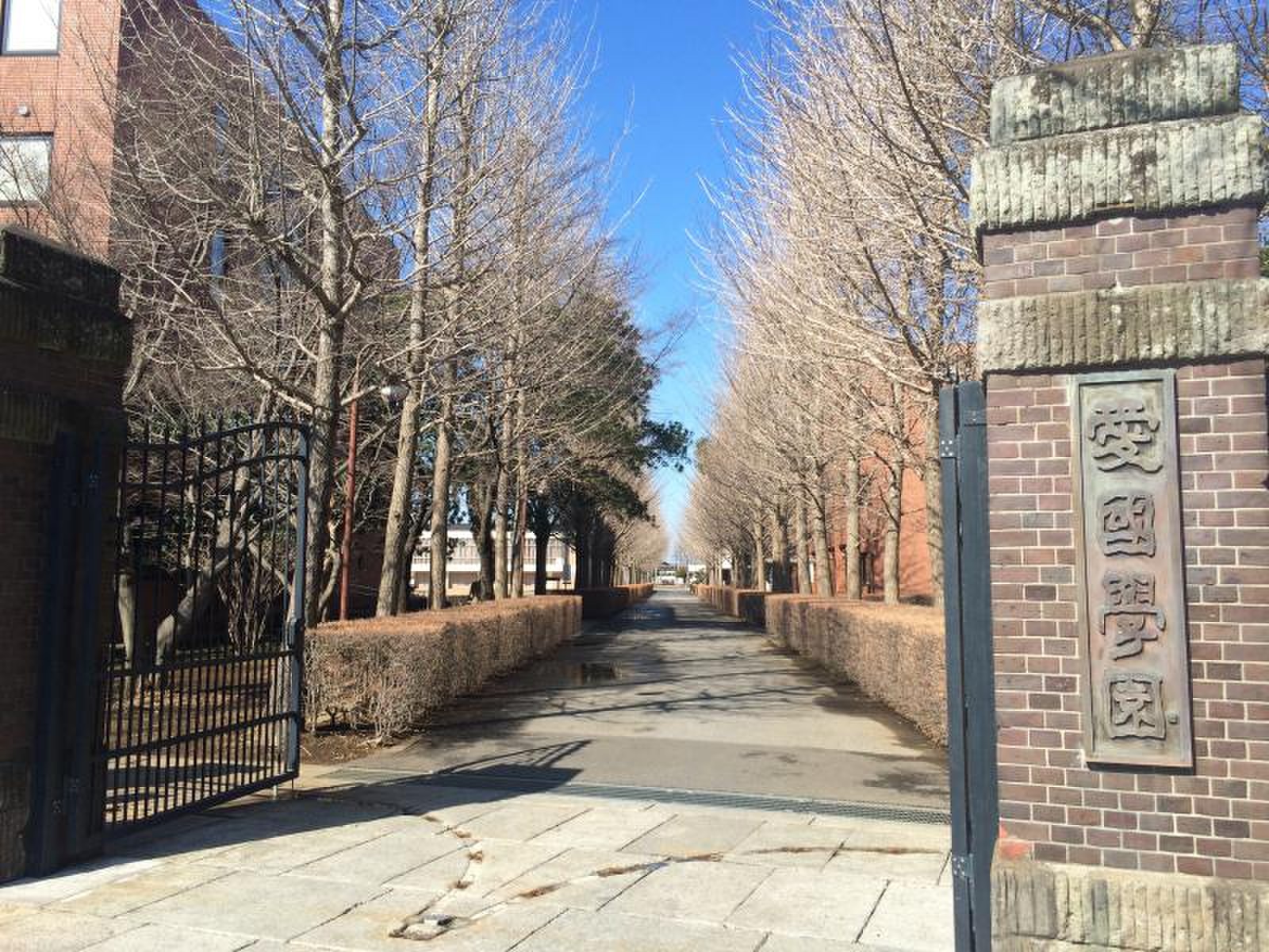 愛国 学園 大学 附属 四街道 高等 学校