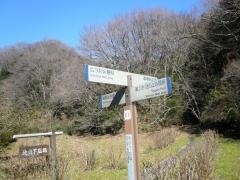 瀬上市民の森