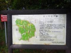 瀬上市民の森