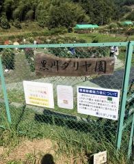 黒川ダリア園