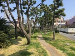 豊浜緑地