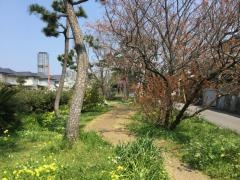 豊浜緑地