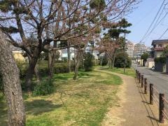 豊浜緑地