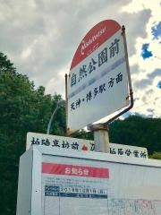 「自然公園前」バス停留所