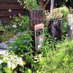 Ｊａｐａｎｅｓｅ　Ｄｉｎｉｎｇ　真　ｓｈｉｎ