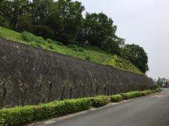 殿山緑地