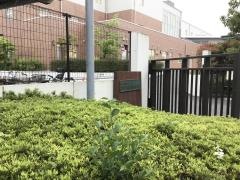 明治大学付属明治中学校