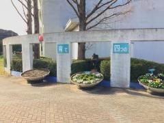 春日野小学校